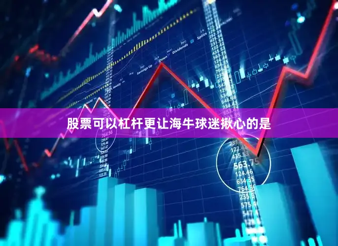 股票可以杠杆更让海牛球迷揪心的是