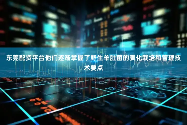 东莞配资平台他们逐渐掌握了野生羊肚菌的驯化栽培和管理技术要点